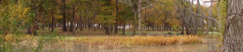 fall scene Banner.jpg