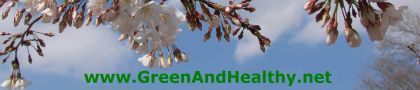 Green And Healthy.net Banner